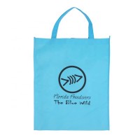 custom printing sky blue white non-woven shopping tote bag